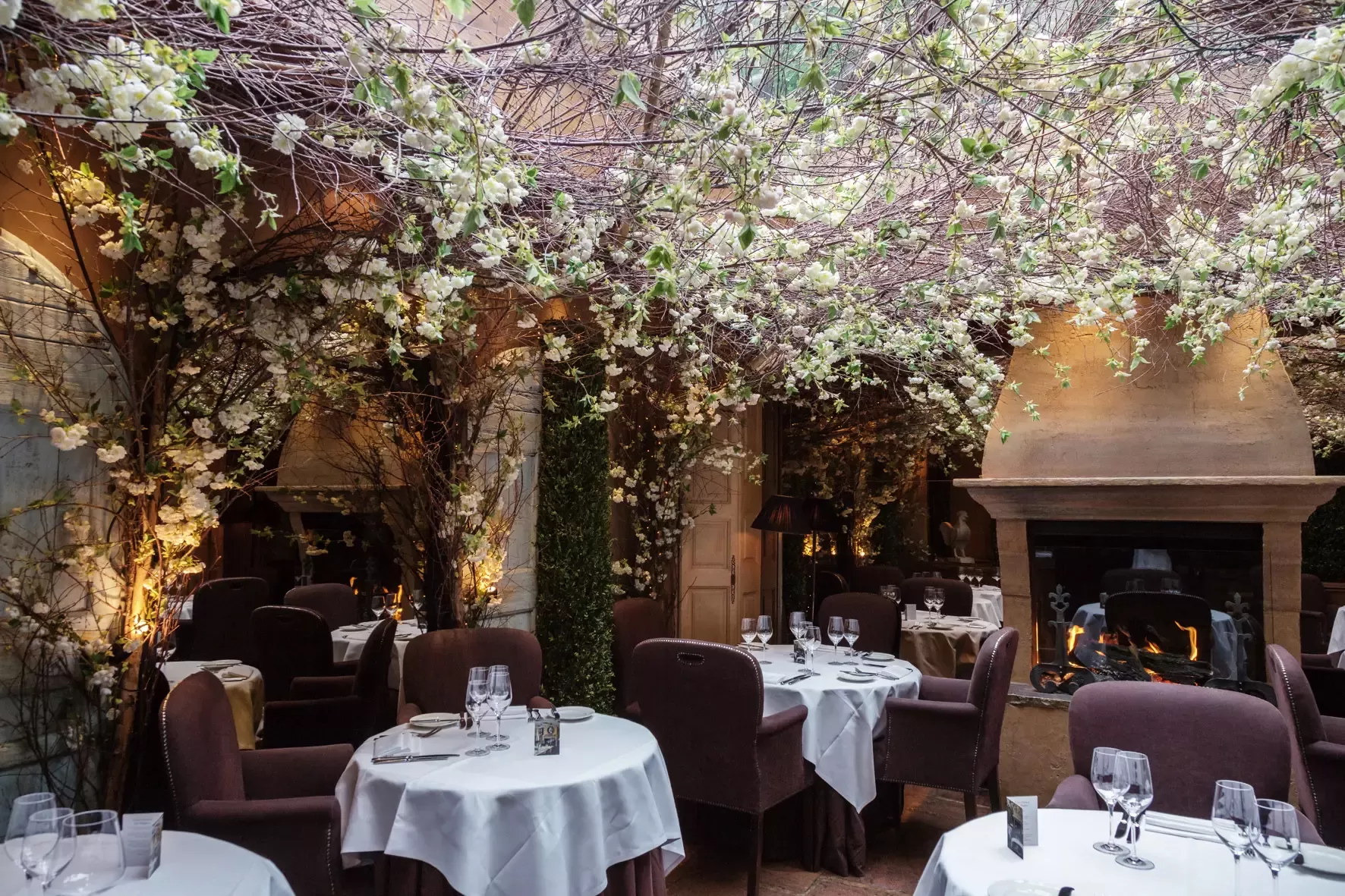 Clos Maggiore Romantic French Restaurant in London
