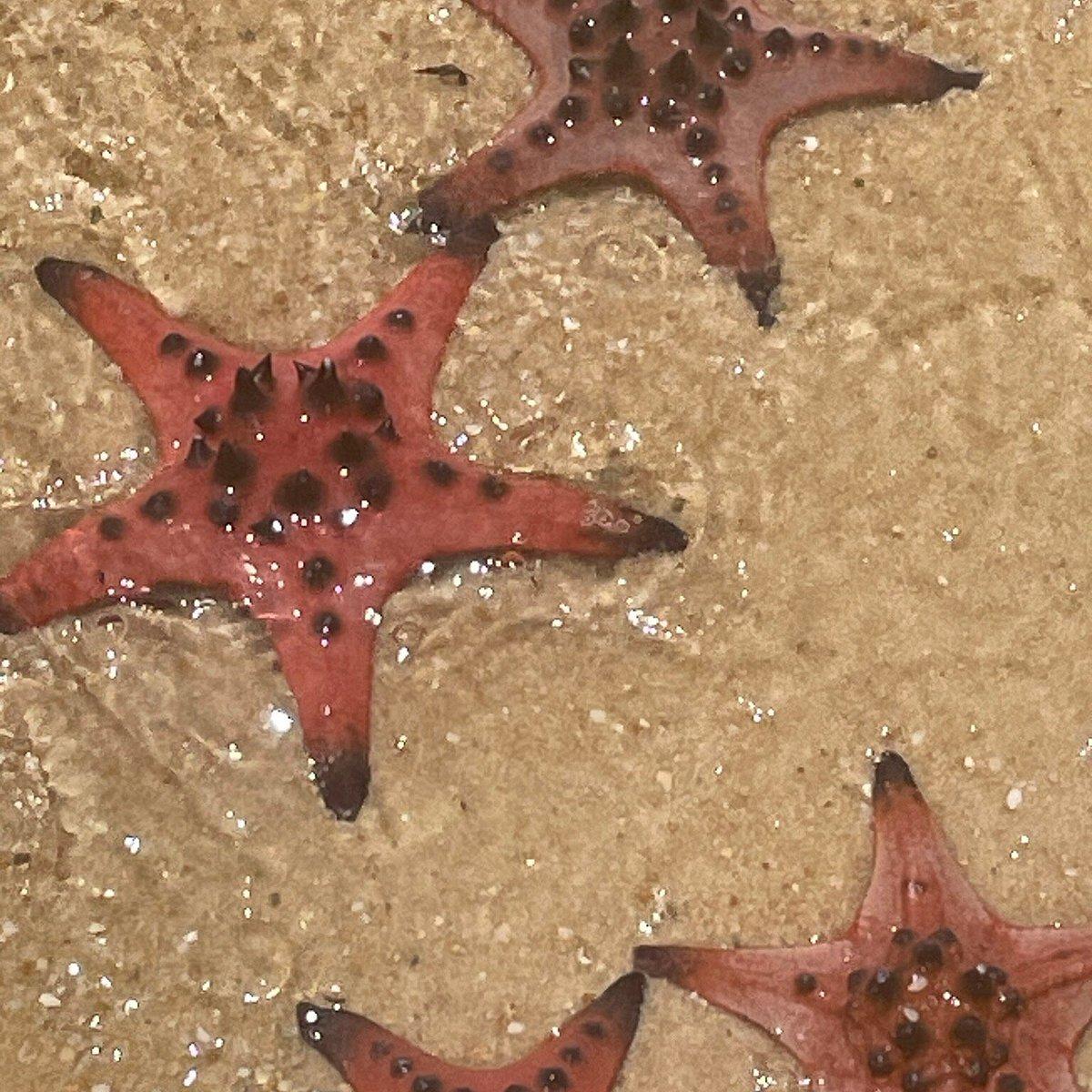 Close-up of Com Dau Phu Do Den at Com Com Restaurant