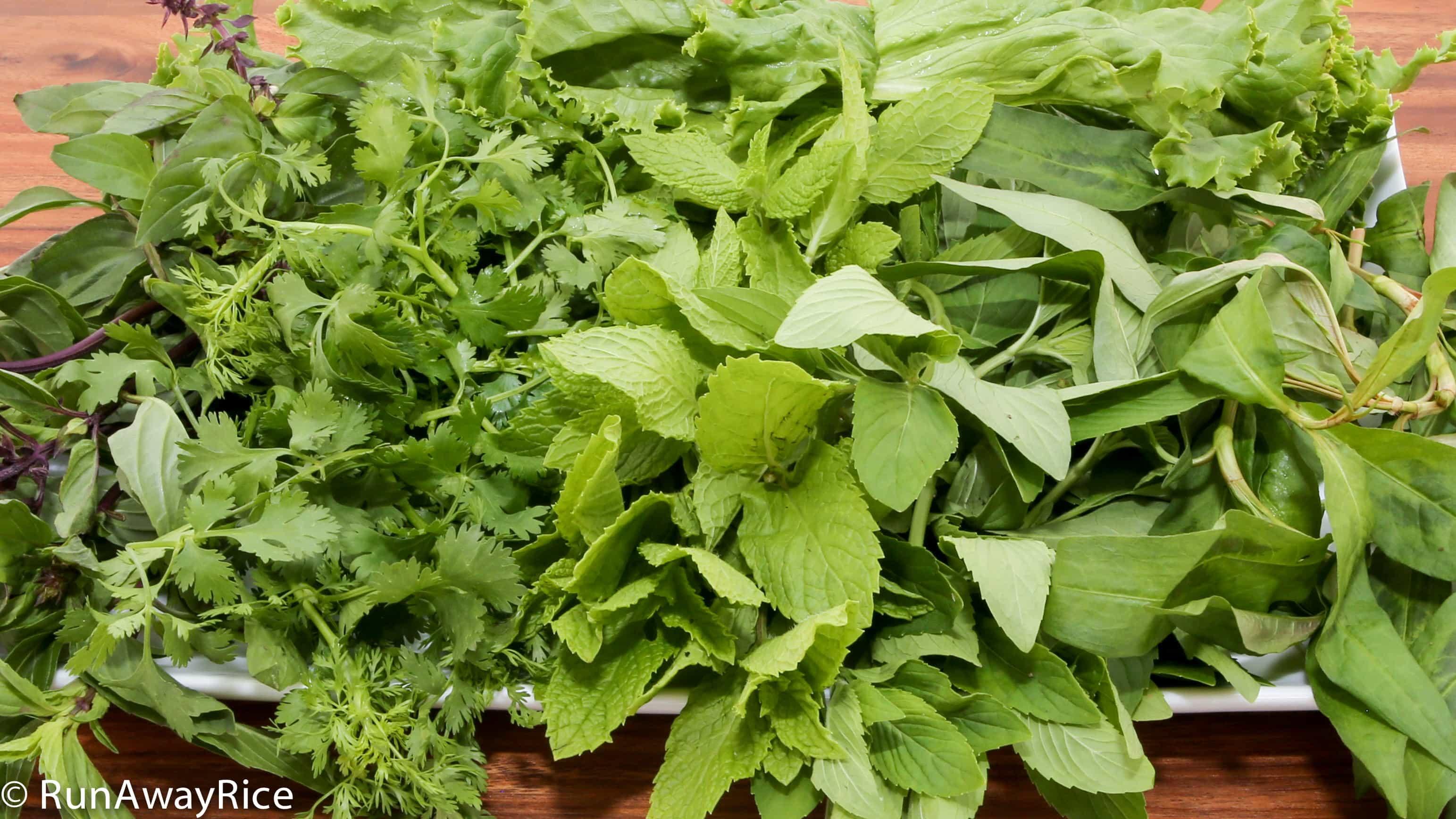 Fresh Vietnamese Herbs