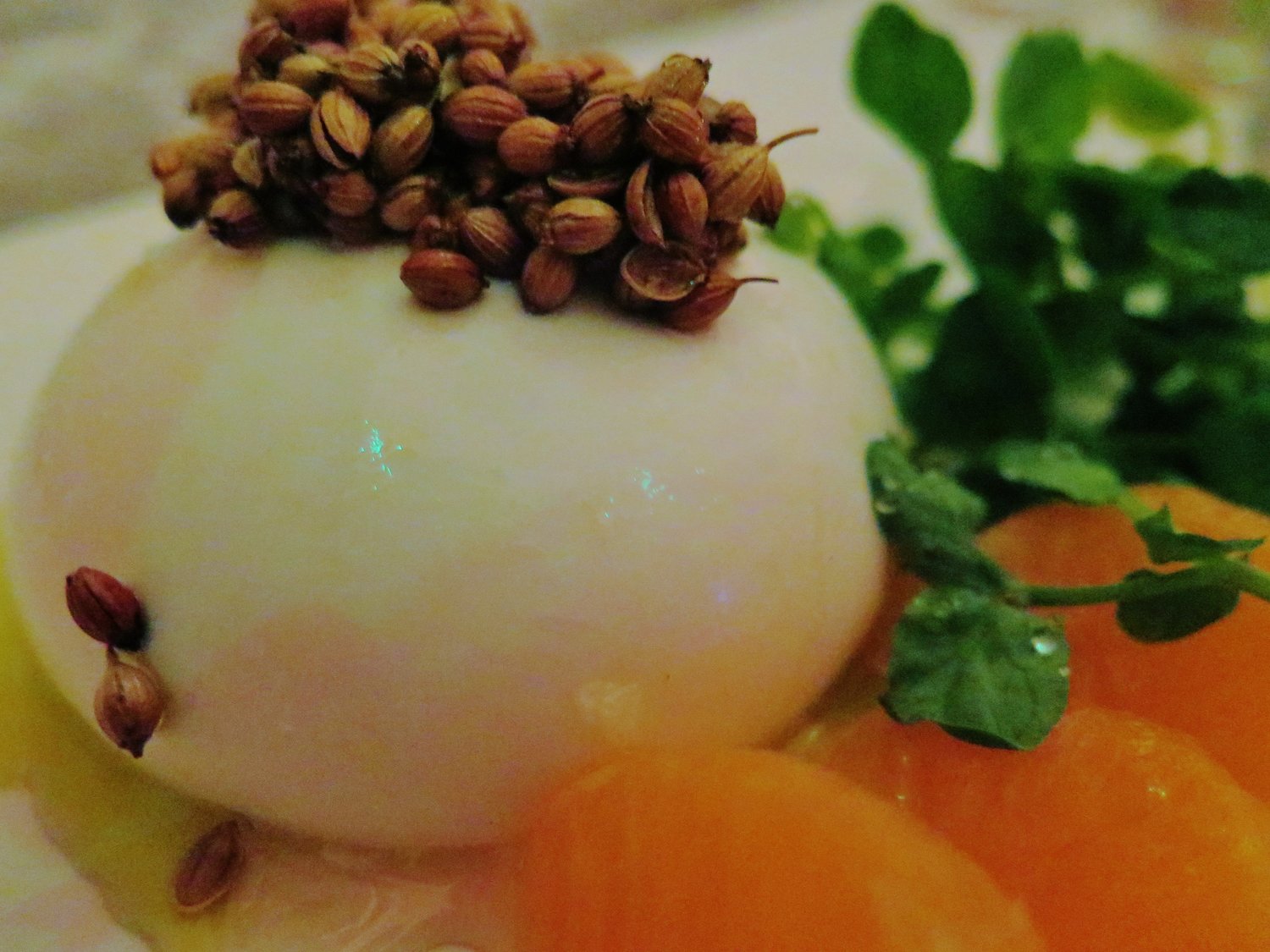 Vietnamese Pho near Nopi