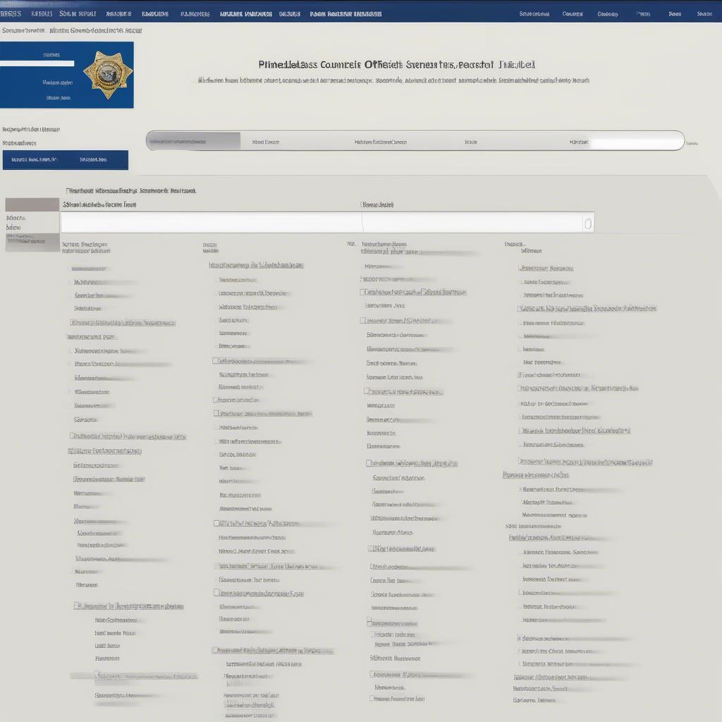 Pinellas County Jail Inmate Search Portal