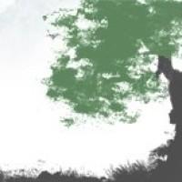 Terence Tao, a brilliant mathematician, working on complex mathematical problems.